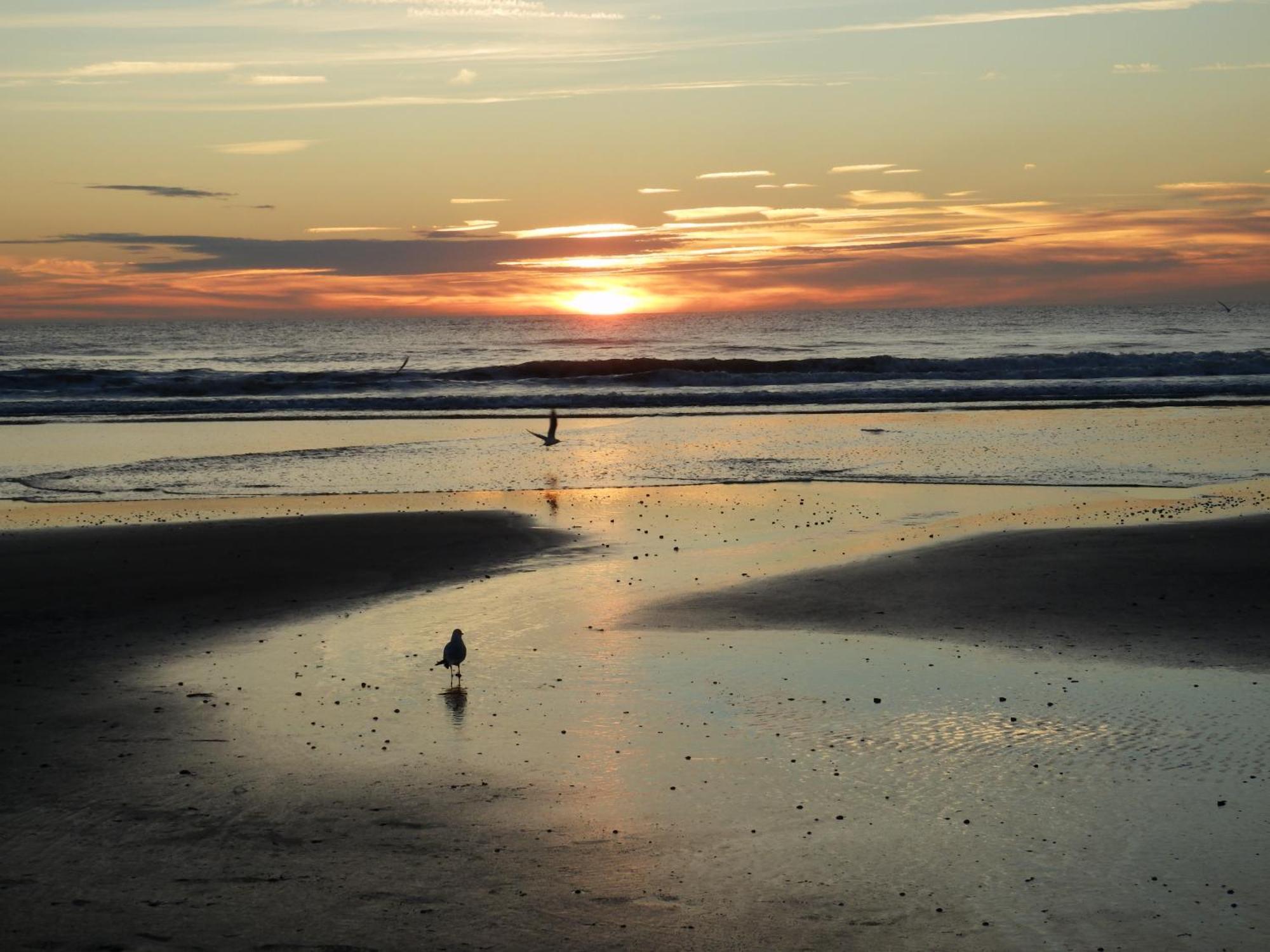 Chez Blandine & Pol Bed & Breakfast Hardelot-Plage Bagian luar foto